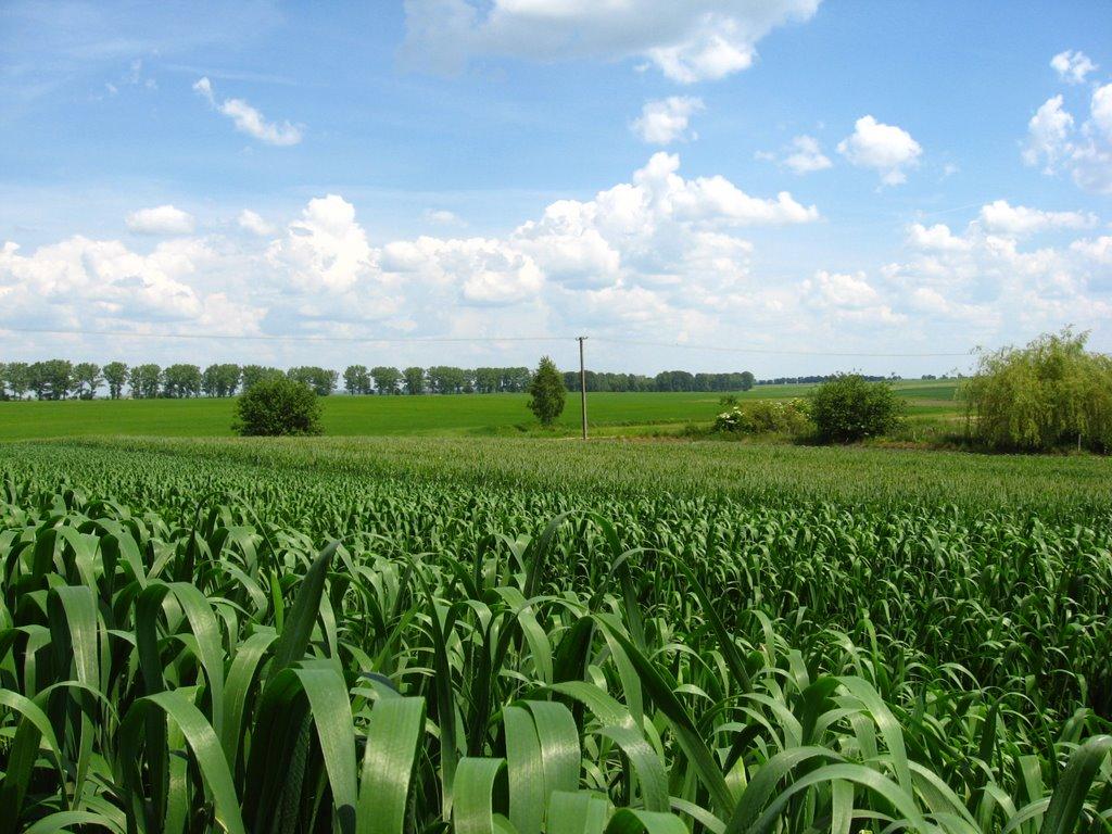 Угринів з panoramio.com - Угринів