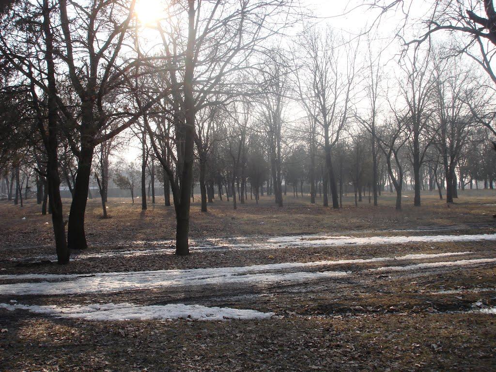 Ізмаїл з panoramio.com (ч.2) - Измаил