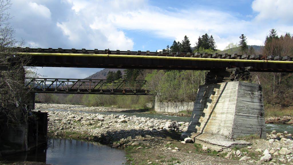 Пшеничники з panoramio.com - Пшеничники