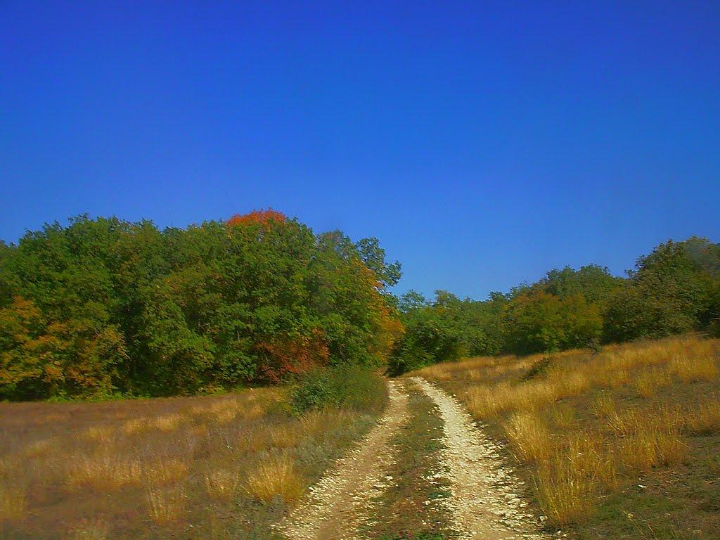 Верхоріччя з panoramio.com - Верхоречье