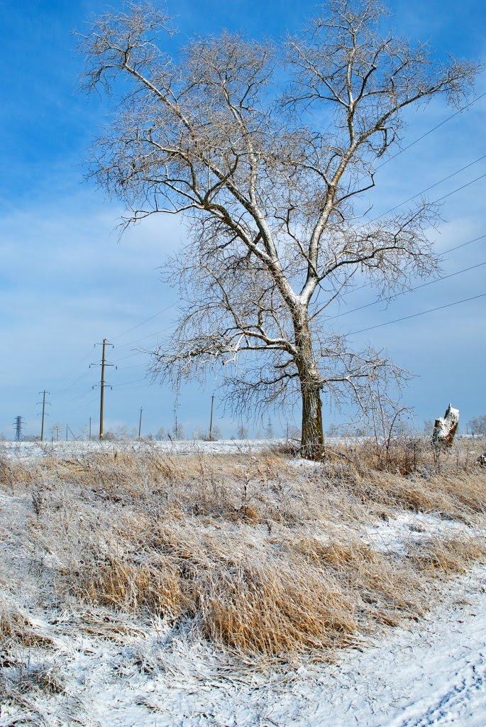 Коротич з panoramio.com - Korotych