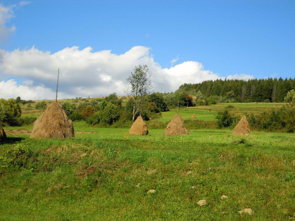 Нижні Ворота з panoramio.com - Нижні Ворота