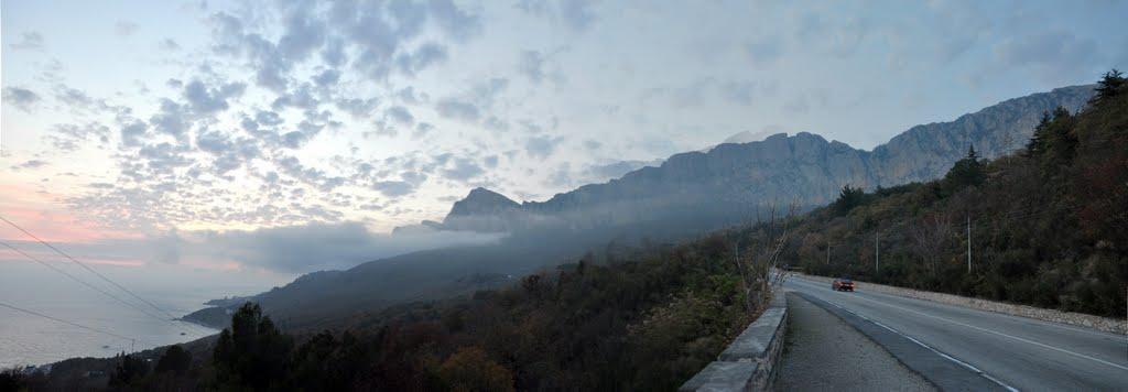 Олива з panoramio.com - Олива