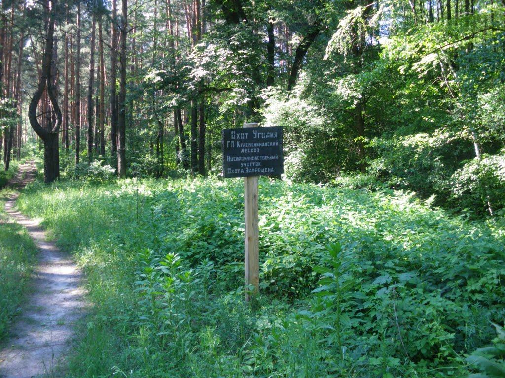 Щурове з panoramio.com - Щурово