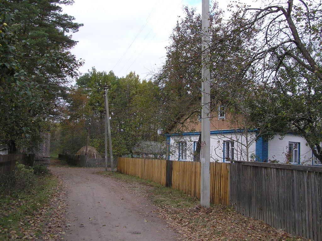 Горщик з panoramio.com - Горщик