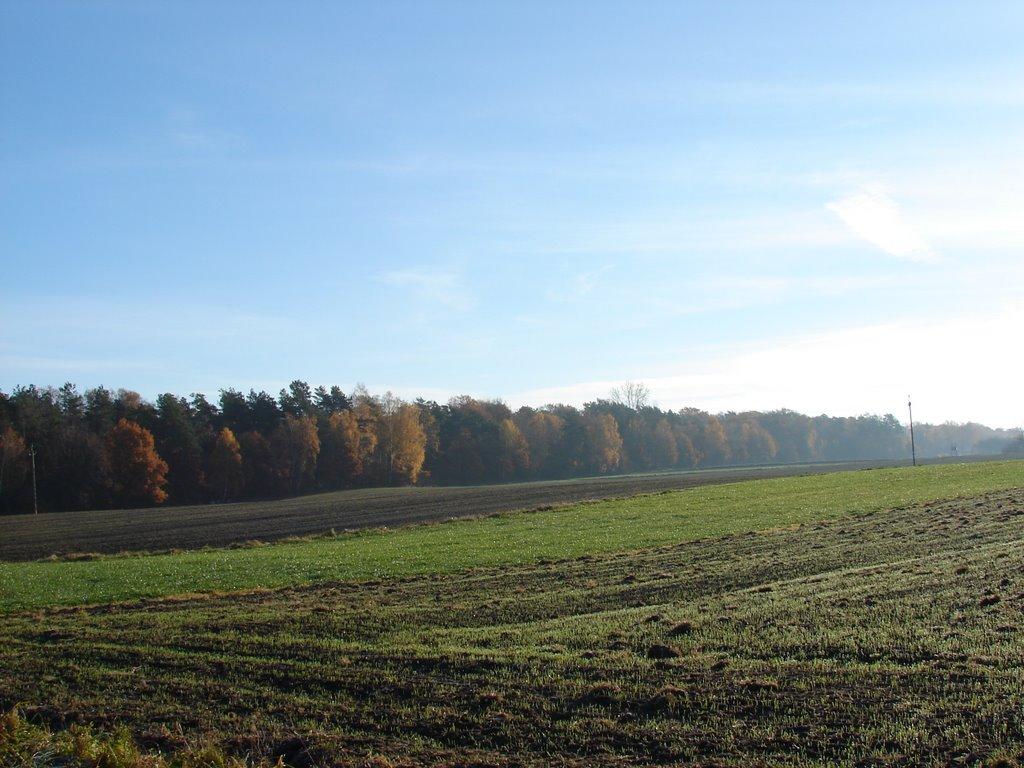 Угринів з panoramio.com - Угринів