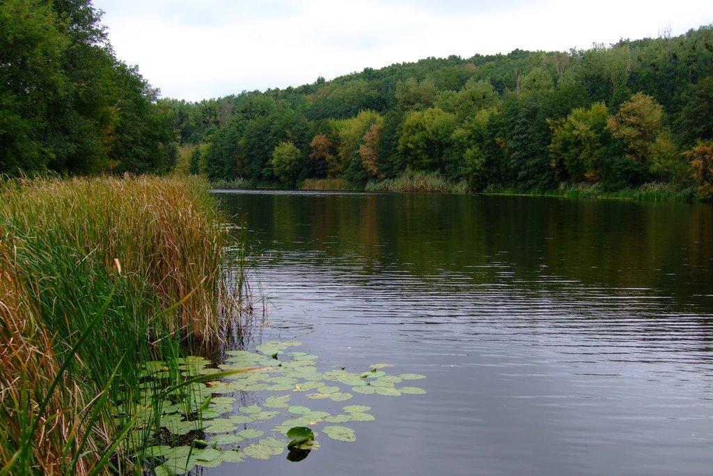 Яблунівка з panoramio.com - Яблунівка