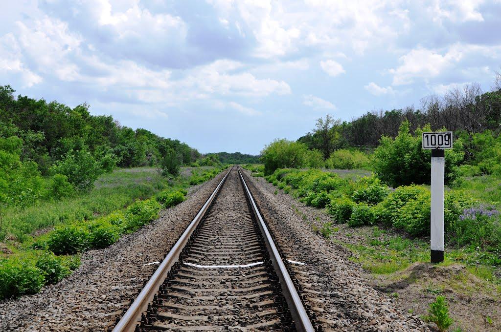 Лисе з panoramio.com - Лысое