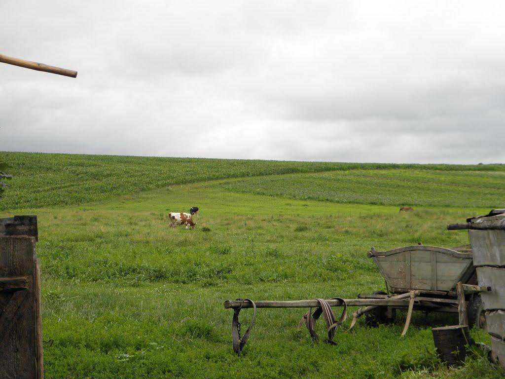 Лобачівка з panoramio.com - Лобачівка