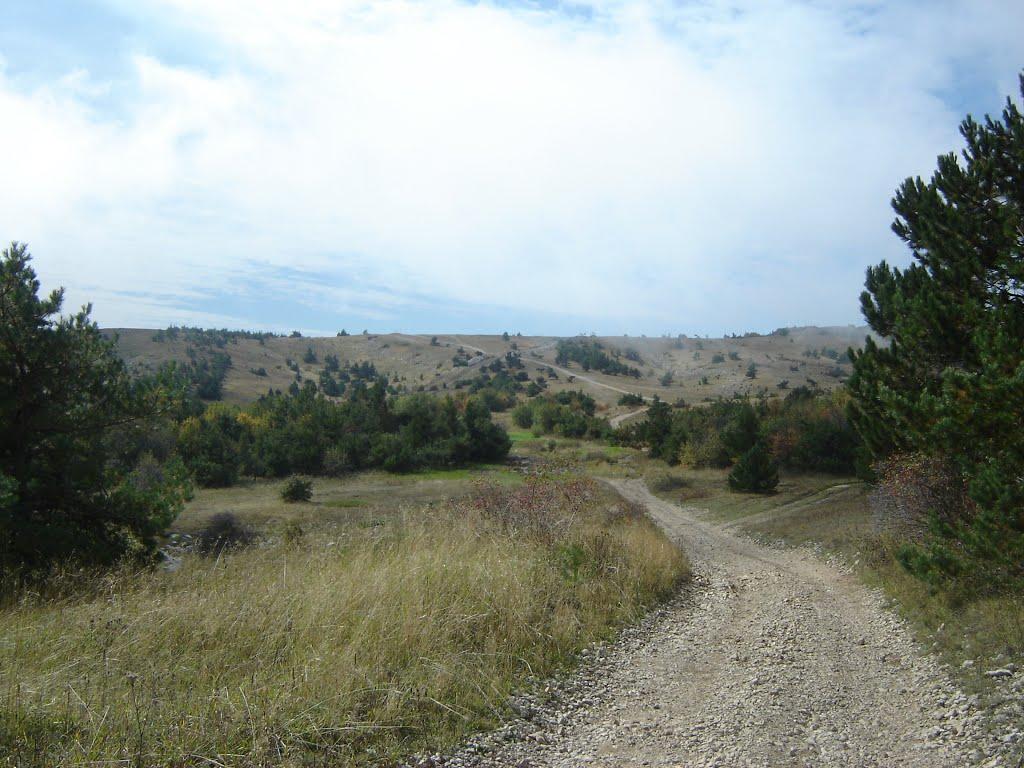 Високогірне з panoramio.com - Высокогорное