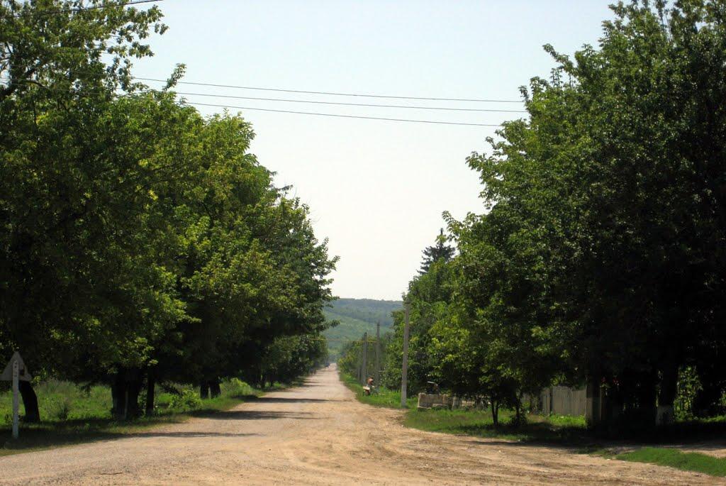 Йосипівка з panoramio.com - Yosypivka