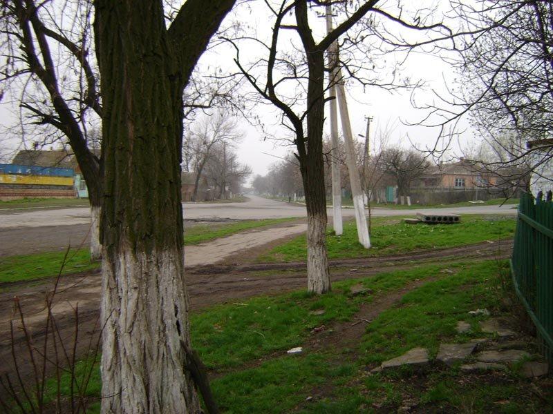 Дмитрівка з panoramio.com - Дмитровка