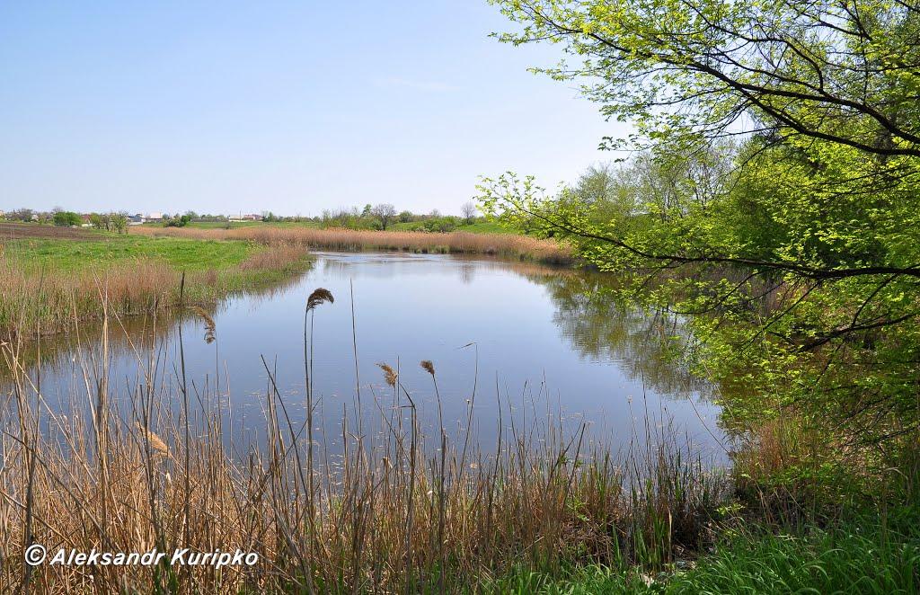 Піщанка з panoramio.com - Песчанка