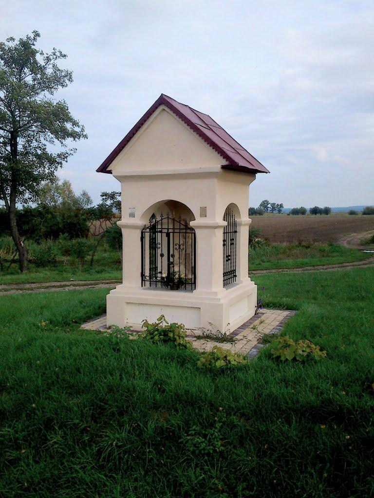 Буців з panoramio.com - Буцов
