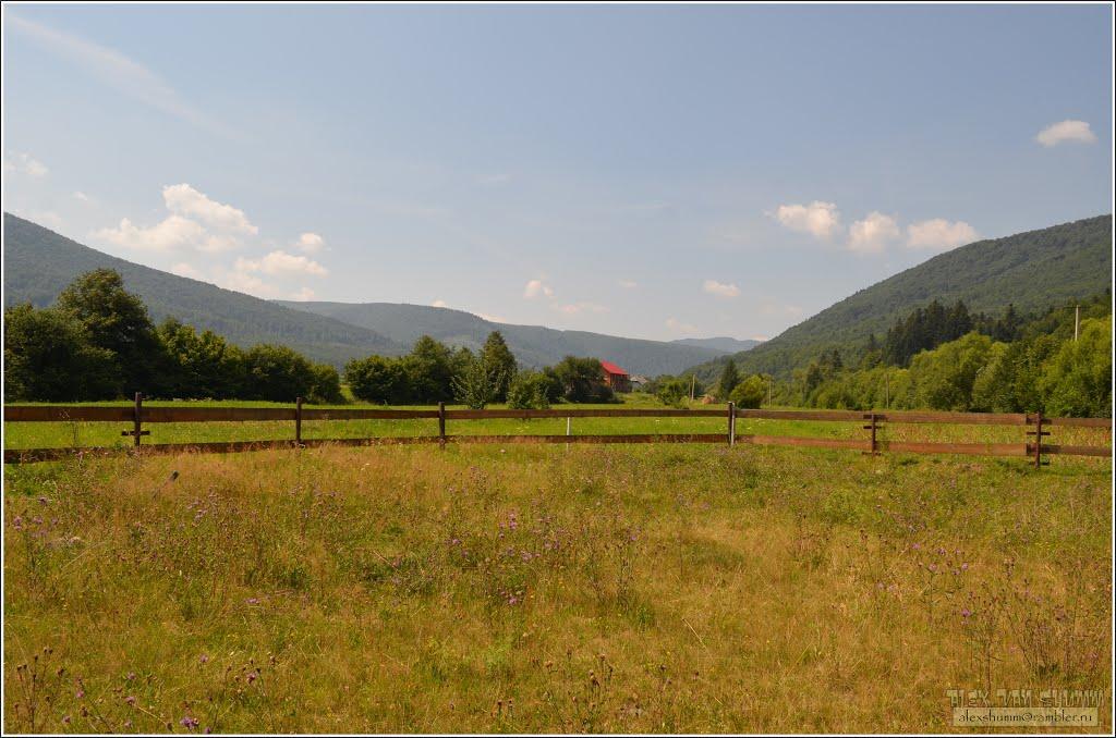 Пшеничники з panoramio.com - Пшеничники