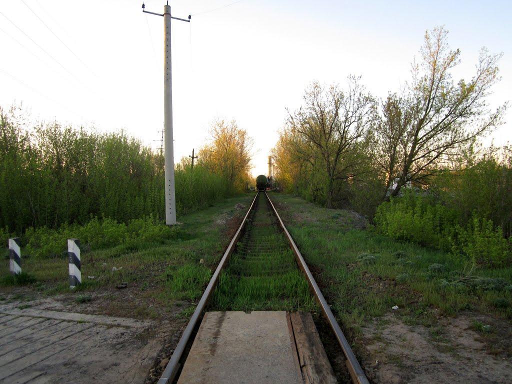 Безлюдівка з panoramio.com (ч.2) - Безлюдовка