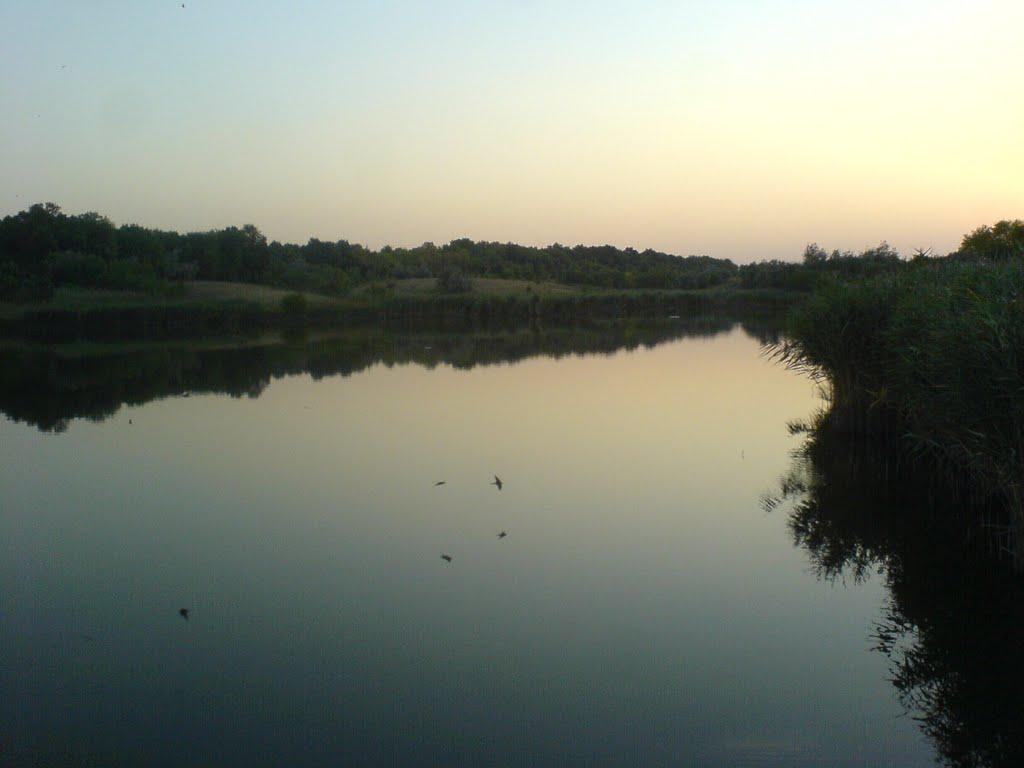 Новосілка з panoramio.com - Новоселка