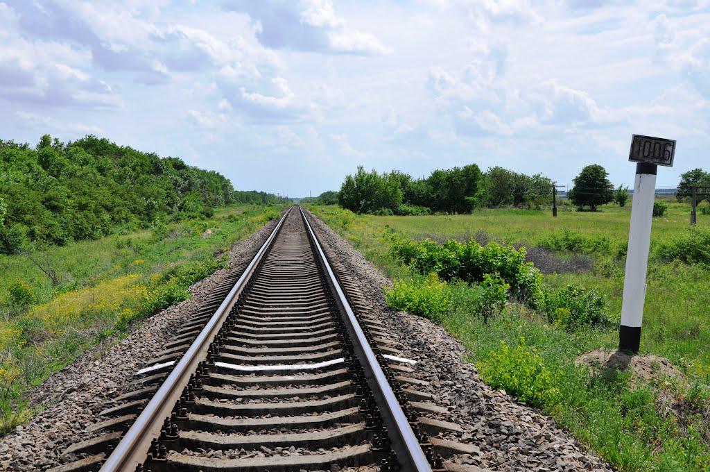 Лисе з panoramio.com - Лысое