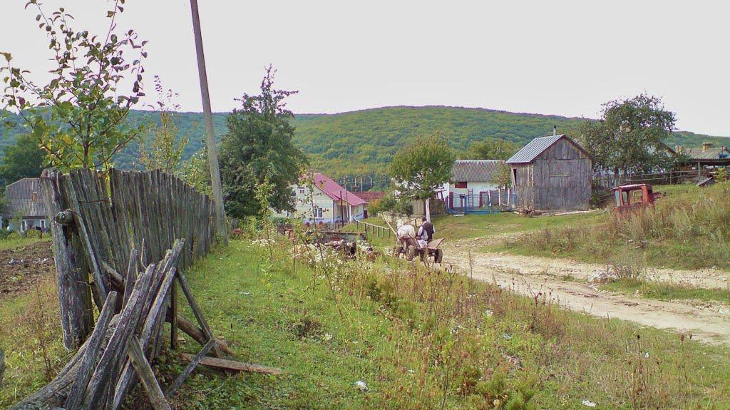 Рогачин з panoramio.com - Rogachyn