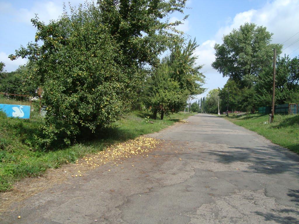 Чутівка з panoramio.com - Chutivka