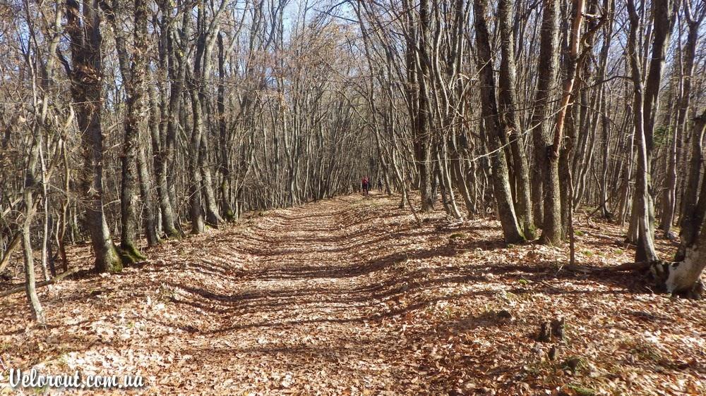 Багата Ущелина з panoramio.com - Багата Ущелина
