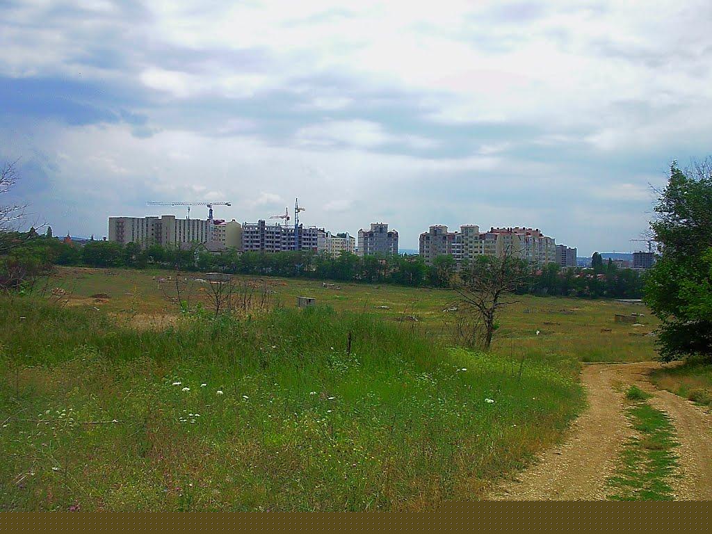 Лаванда з panoramio.com (ч.2) - Лаванда