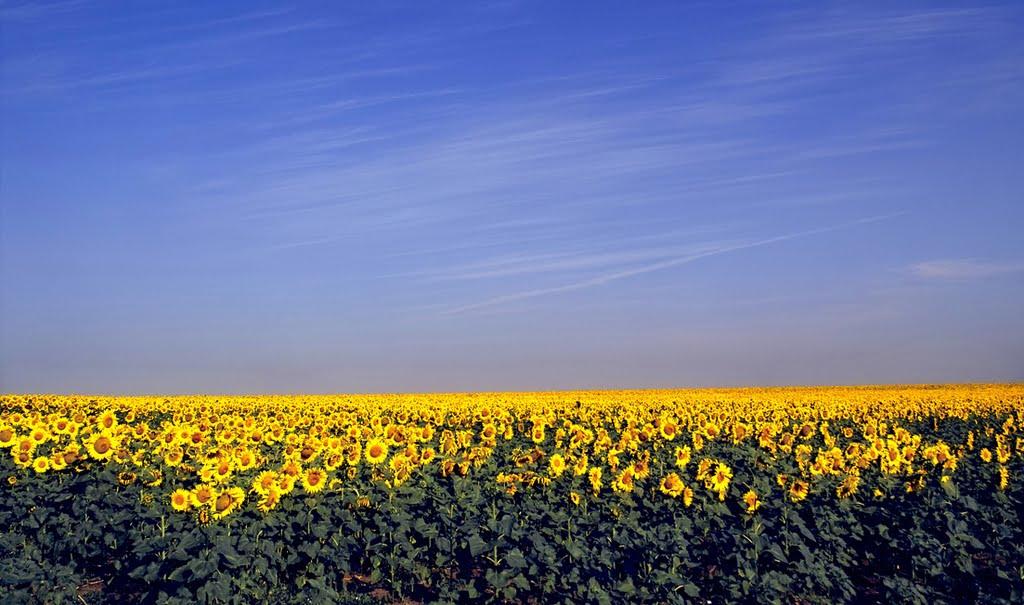 Старий Крим з panoramio.com - Старий Крим