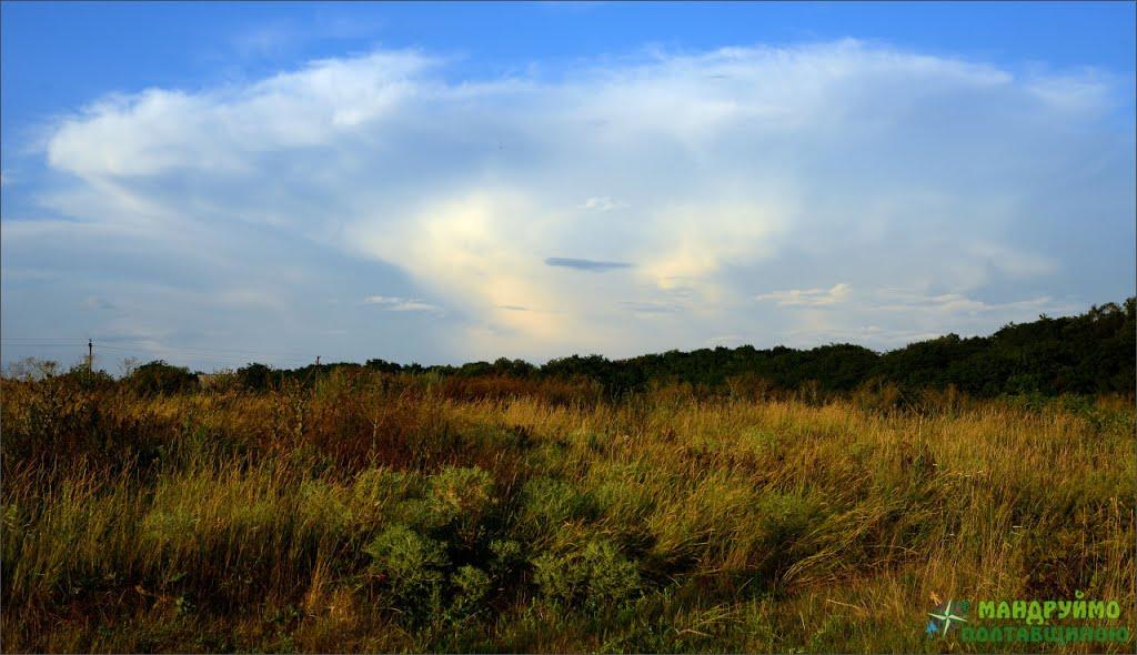 Вищі Вільшани з panoramio.com - Вищі Вільшани