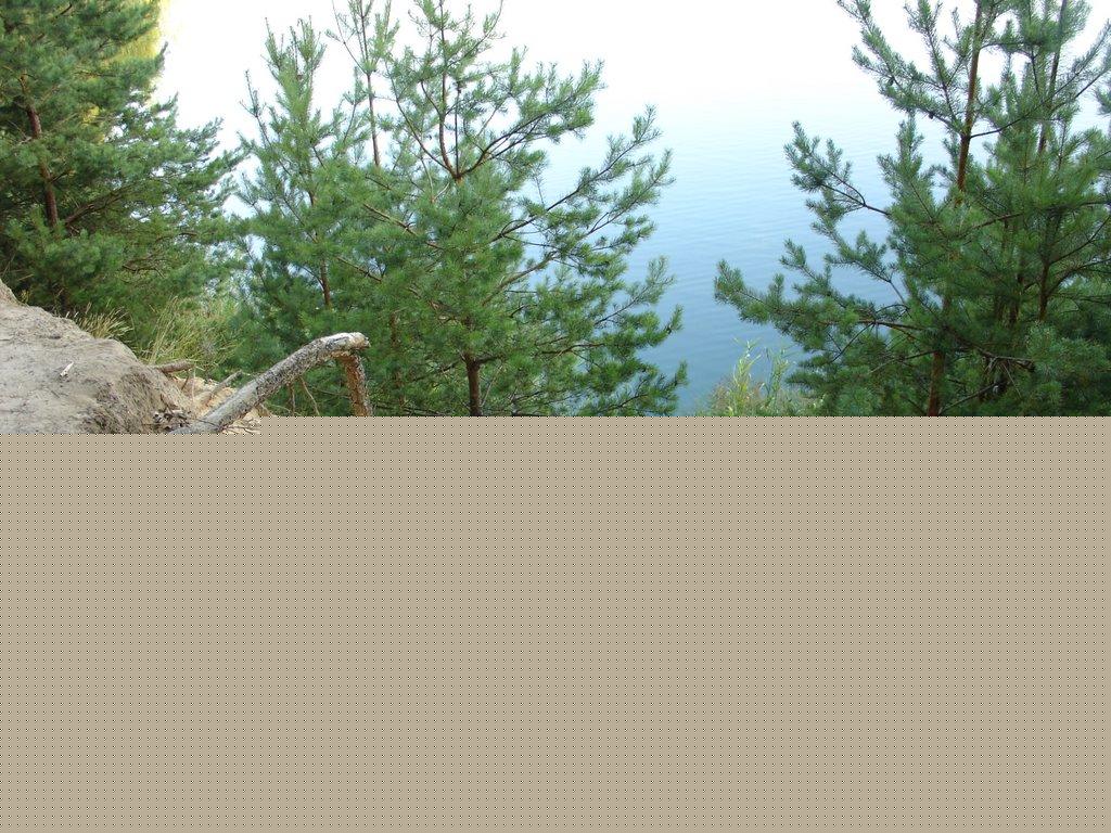 Тисменичани з panoramio.com - Тисменичани