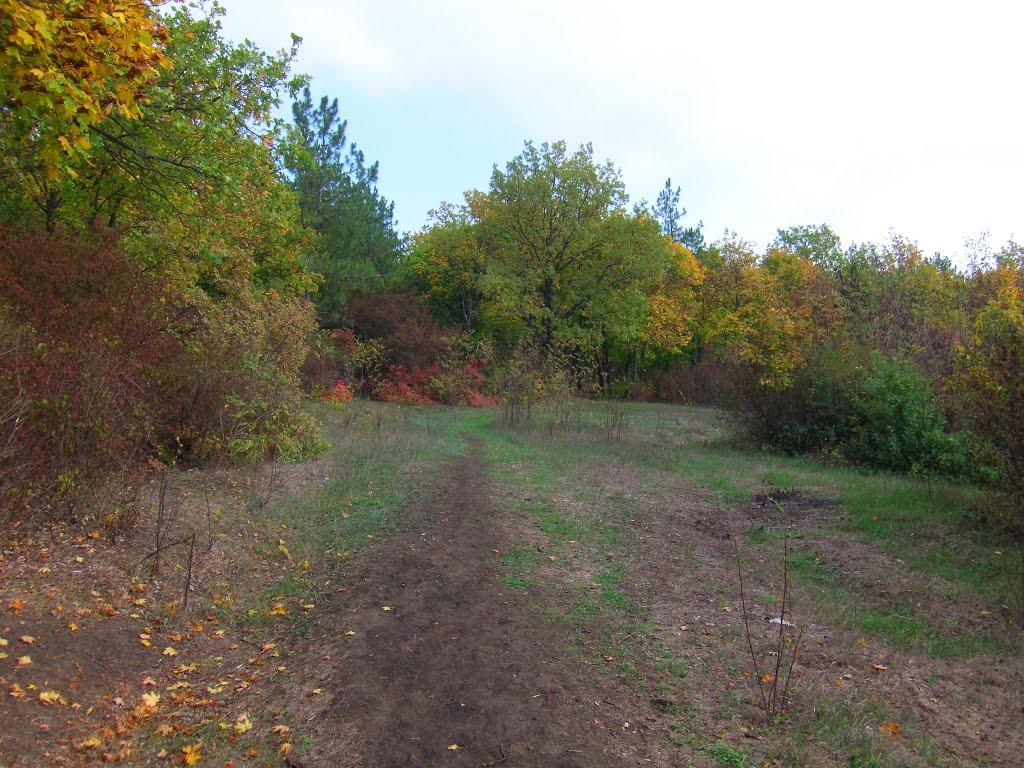 Роздільна з panoramio.com - Роздільна