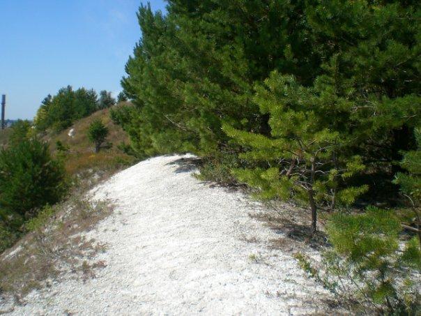 Плетенівка з panoramio.com - Плетеновка