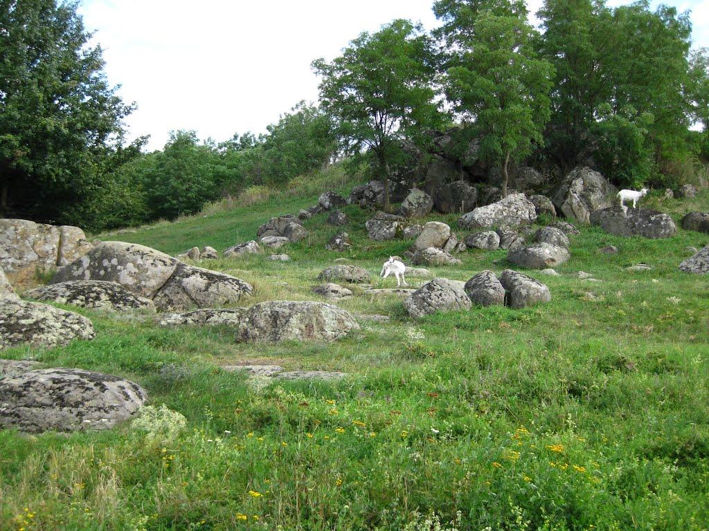 Мигія з panoramio.com - Mygiya