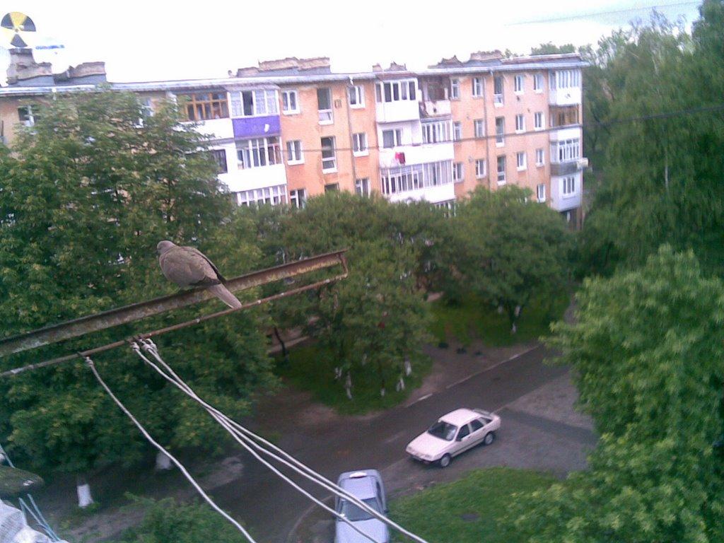 Калуш з panoramio.com (ч.2) - Калуш
