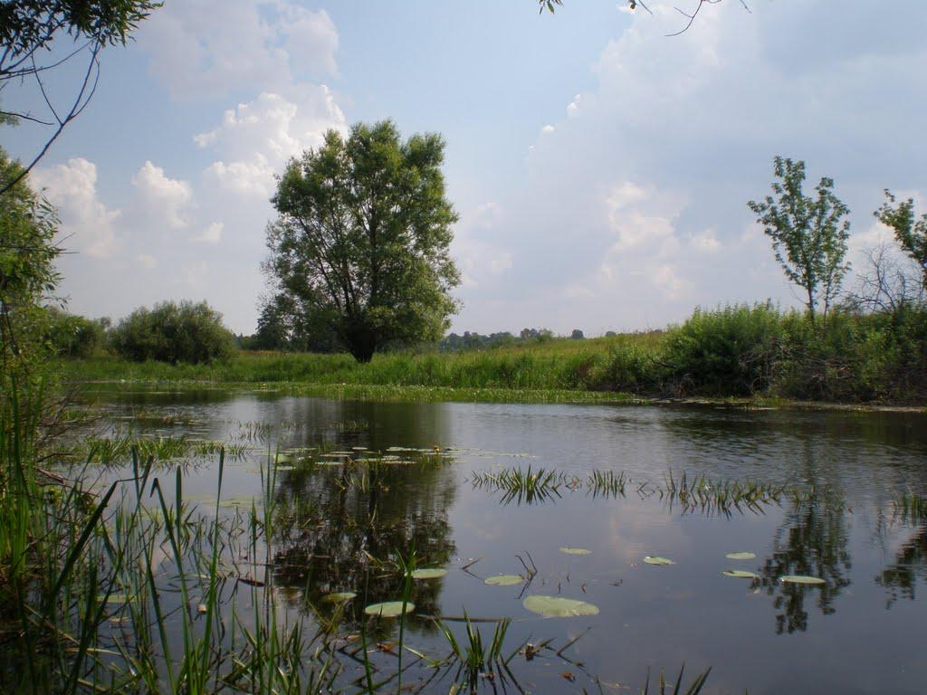 Ігорівка з panoramio.com - Ігорівка