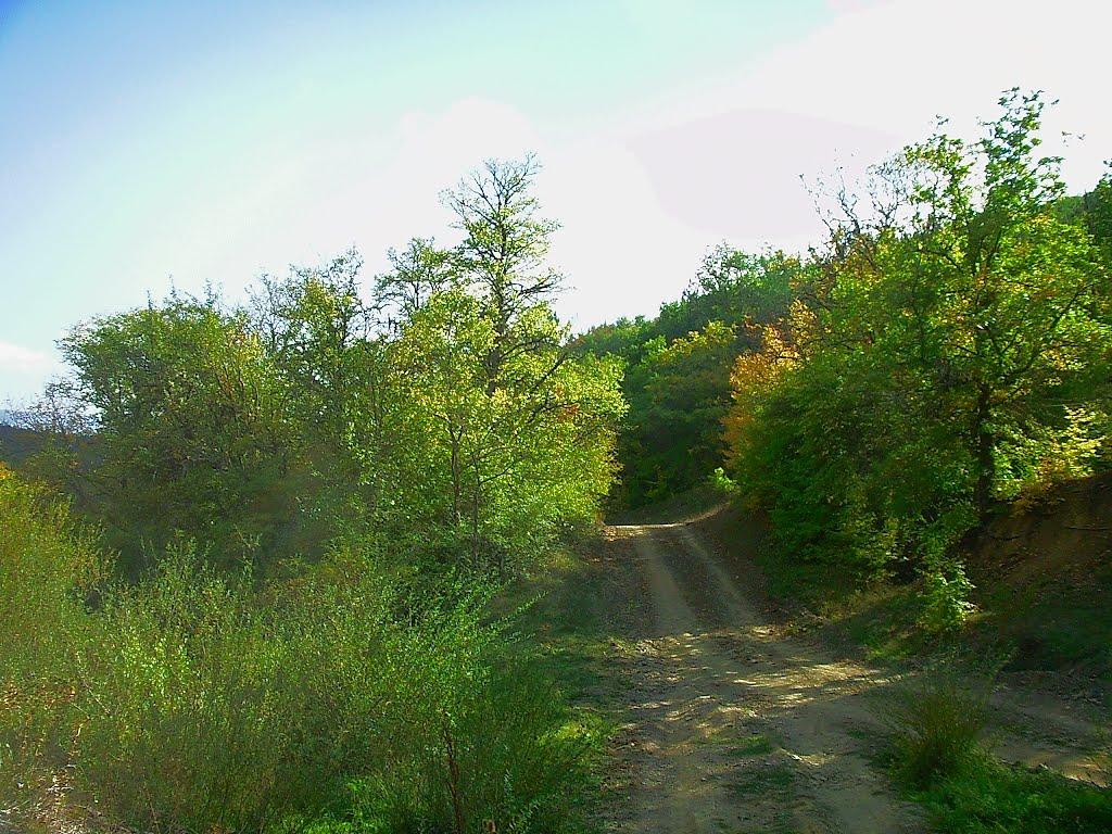 Богатир з panoramio.com - Богатир