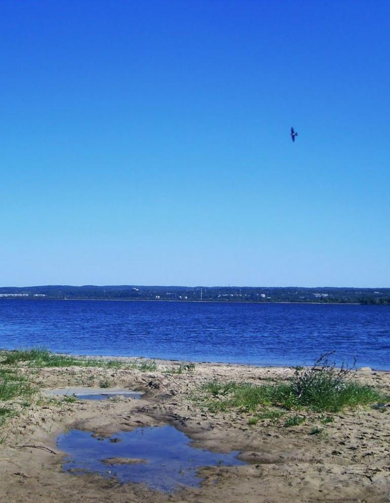 Бобриця з panoramio.com - Бобриця