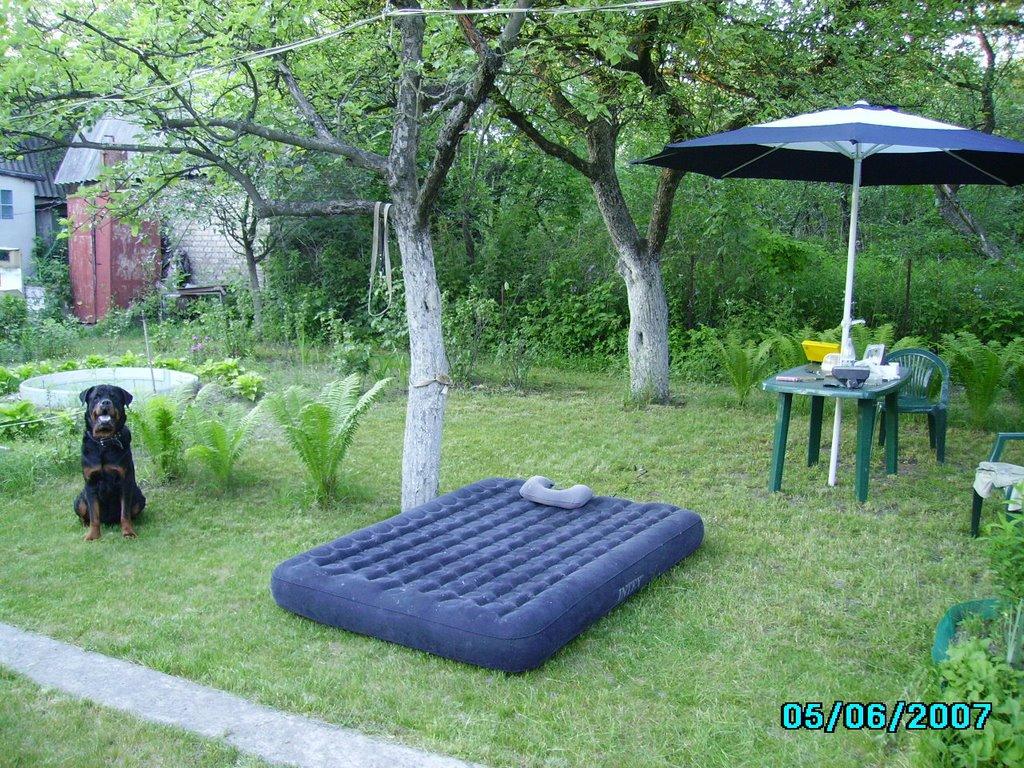 Малютянка з panoramio.com - Малютянка