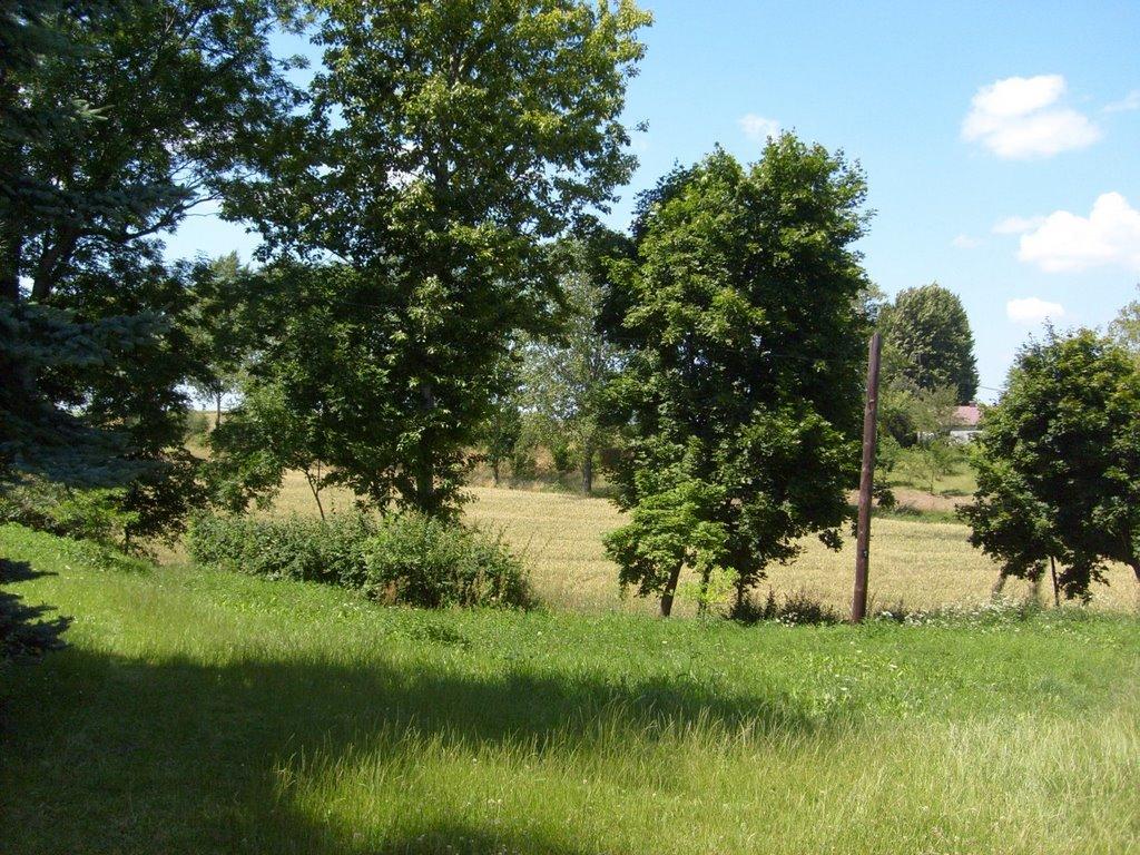 Варяж з panoramio.com - Варяж