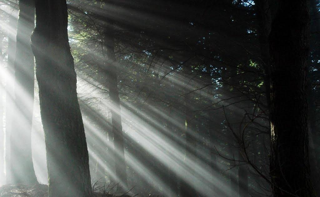 Грушківці з panoramio.com - Грушківці