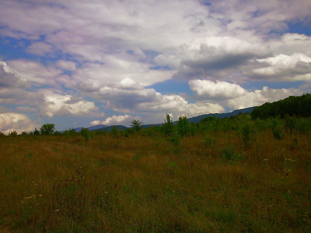 Щасливе з panoramio.com - Счастливое