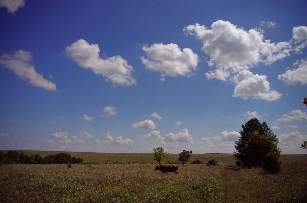 Браїлівка з panoramio.com - Браїлівка
