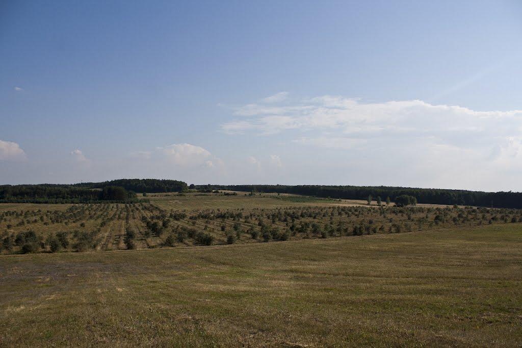 Новоугрузьке з panoramio.com - Novougruzke