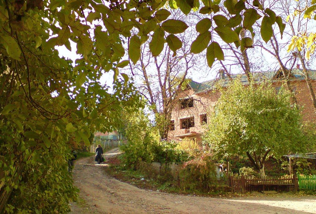 Бережани з panoramio.com - Бережаны