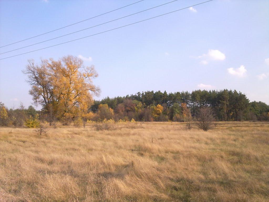 Яцьківка з panoramio.com - Яцьківка