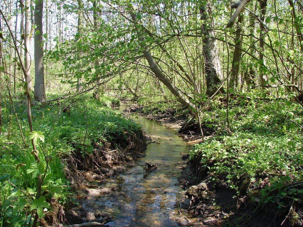 Угринів з panoramio.com - Угринів