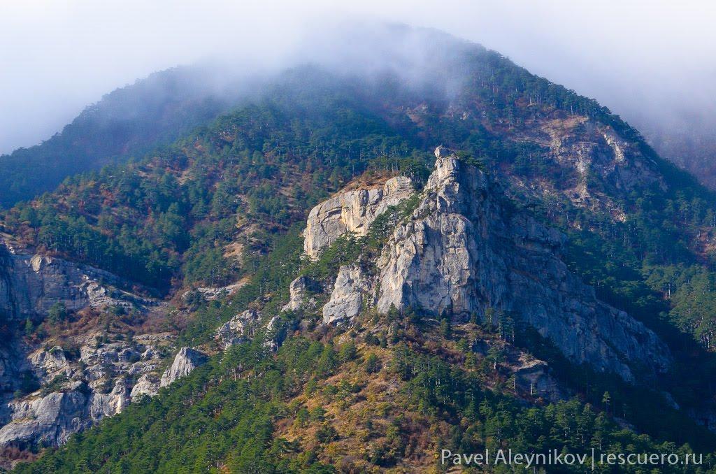 Виноградне з panoramio.com - Виноградное