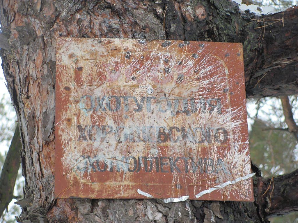 Безлюдівка з panoramio.com (ч.2) - Безлюдовка