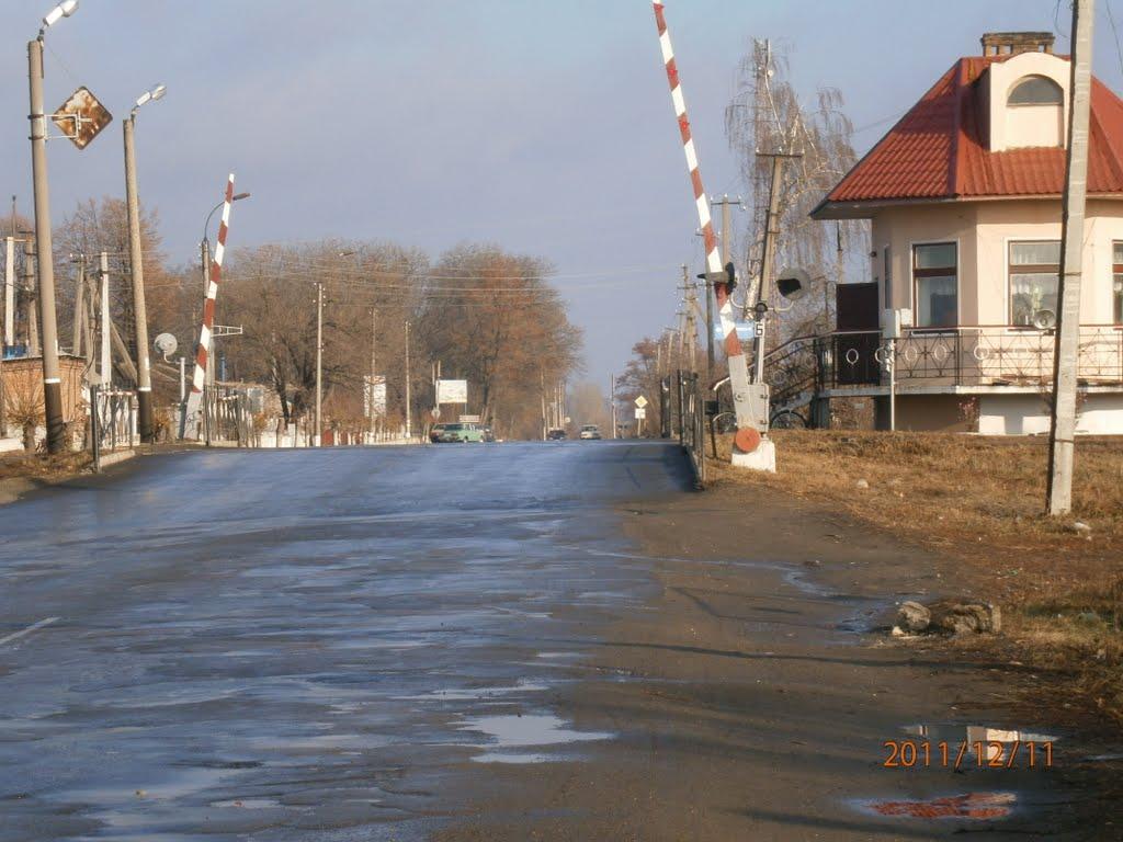 Христинівка з panoramio.com - Христиновка