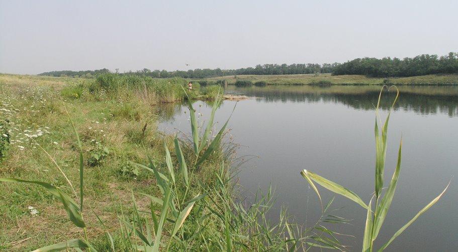 Тополине з panoramio.com - Тополиное