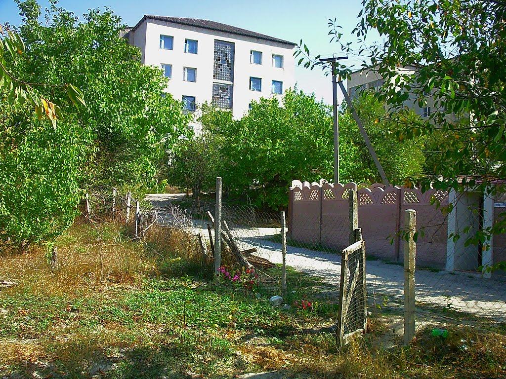 Красний Мак з panoramio.com - Красный Мак